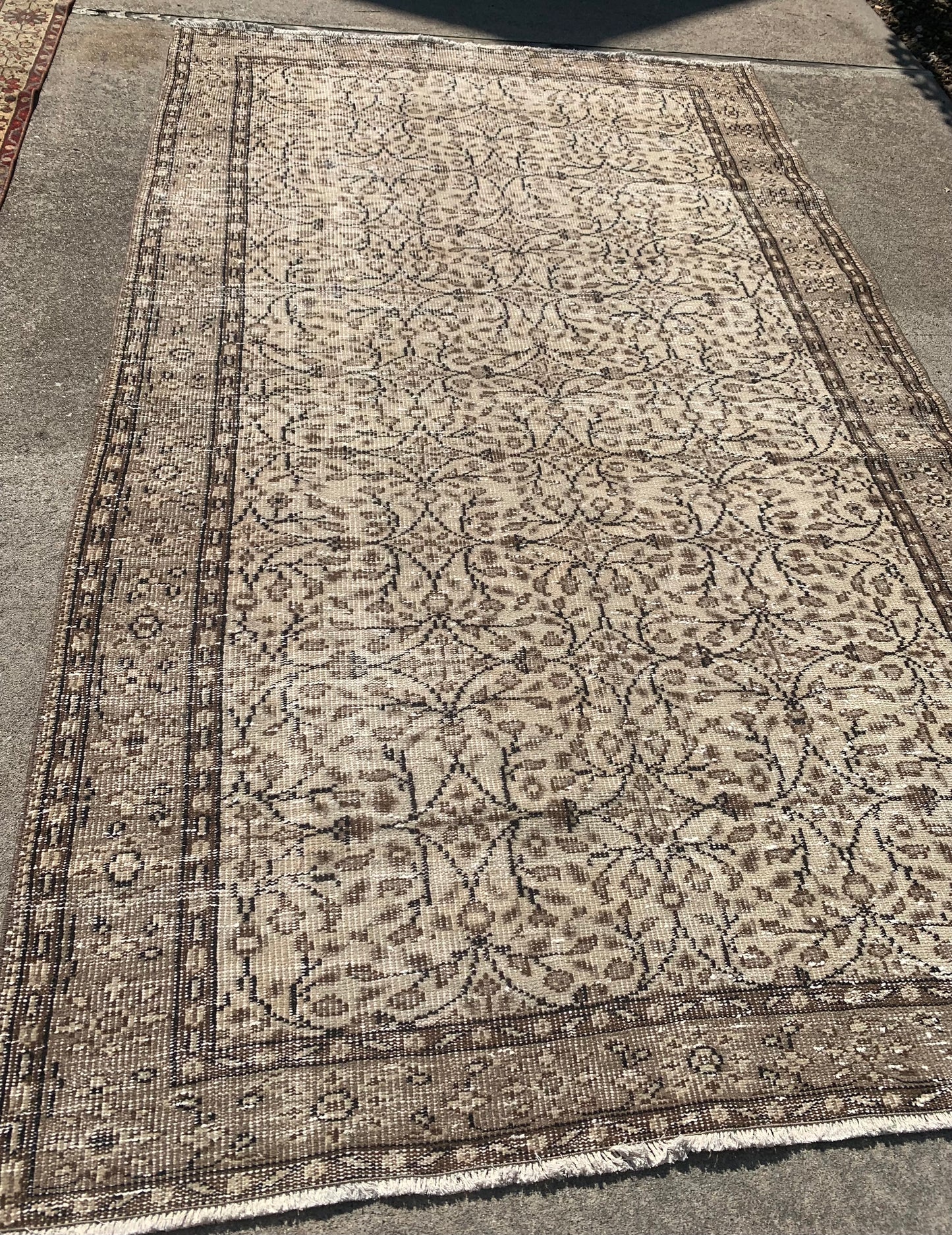 Neutral Area Rug 8’11 x 5’4 (Chocolate Tones)