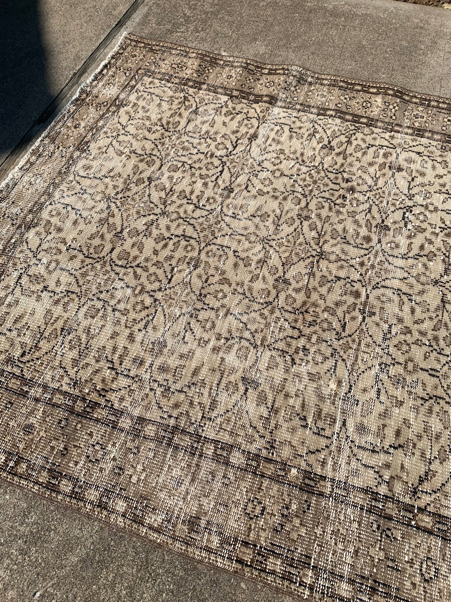 Neutral Area Rug 8’11 x 5’4 (Chocolate Tones)