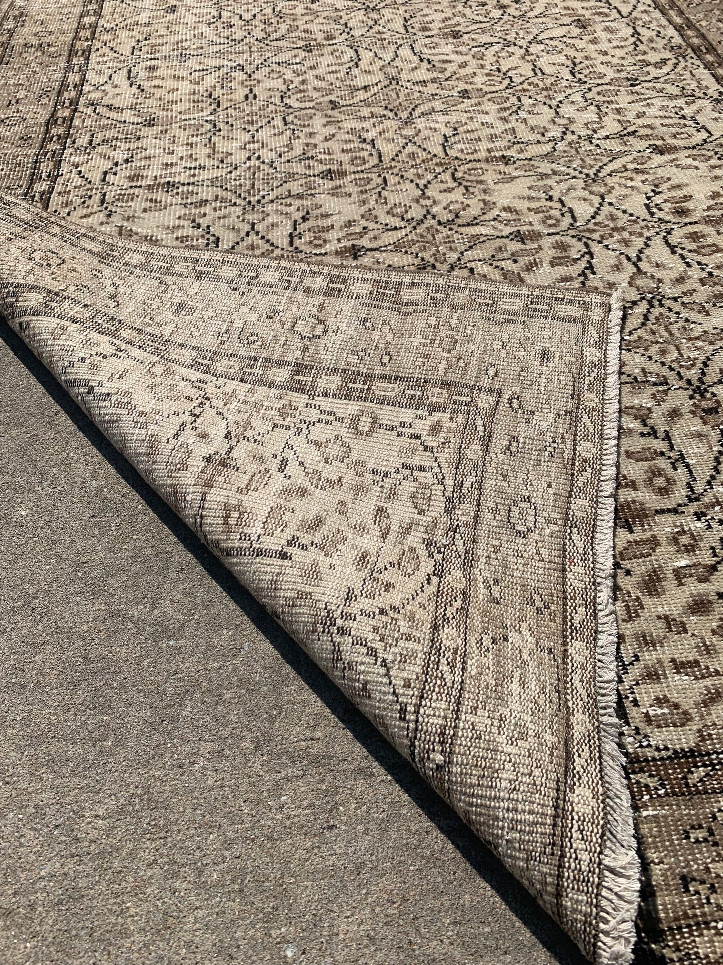 Neutral Area Rug 8’11 x 5’4 (Chocolate Tones)