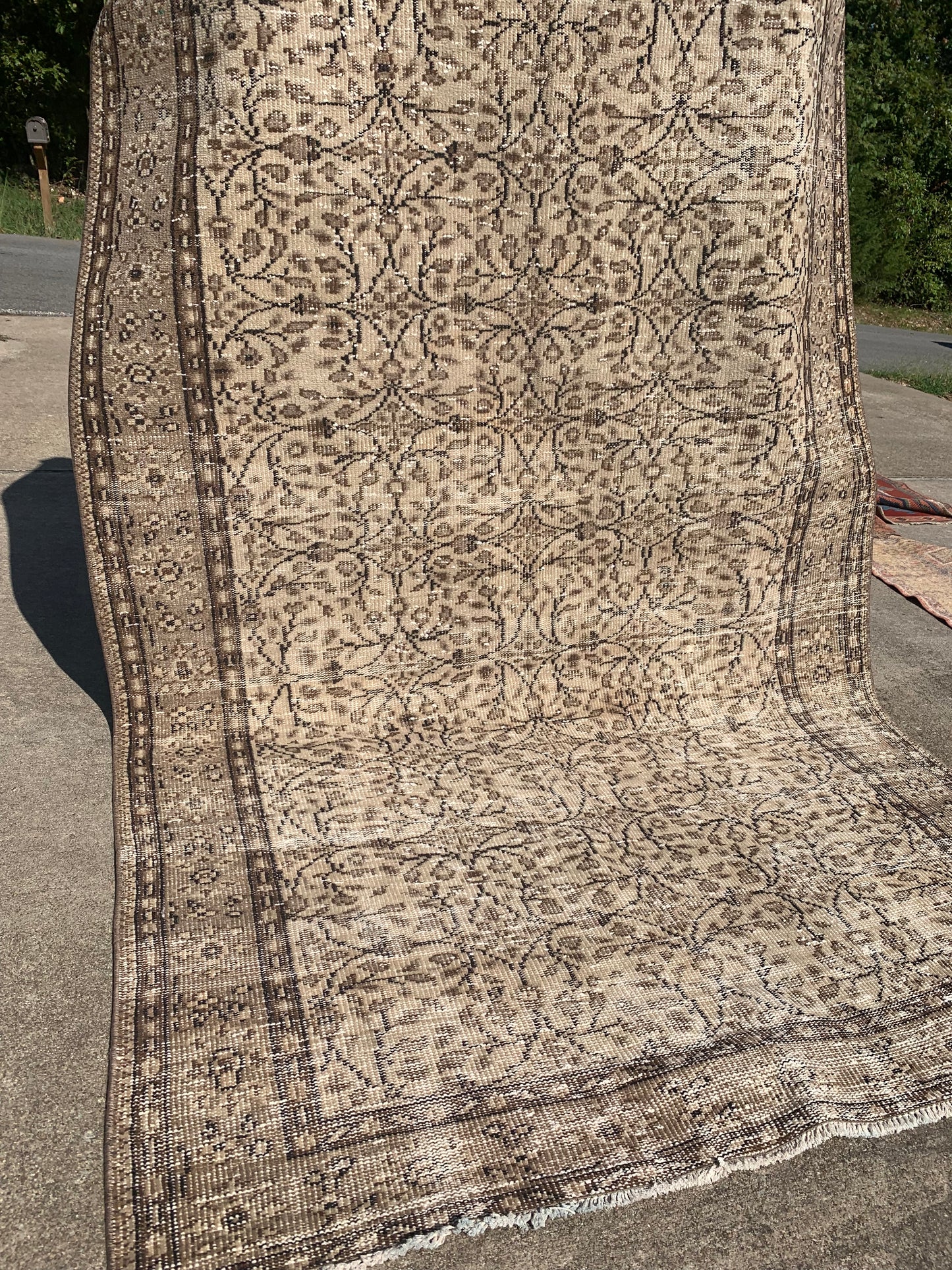 Neutral Area Rug 8’11 x 5’4 (Chocolate Tones)