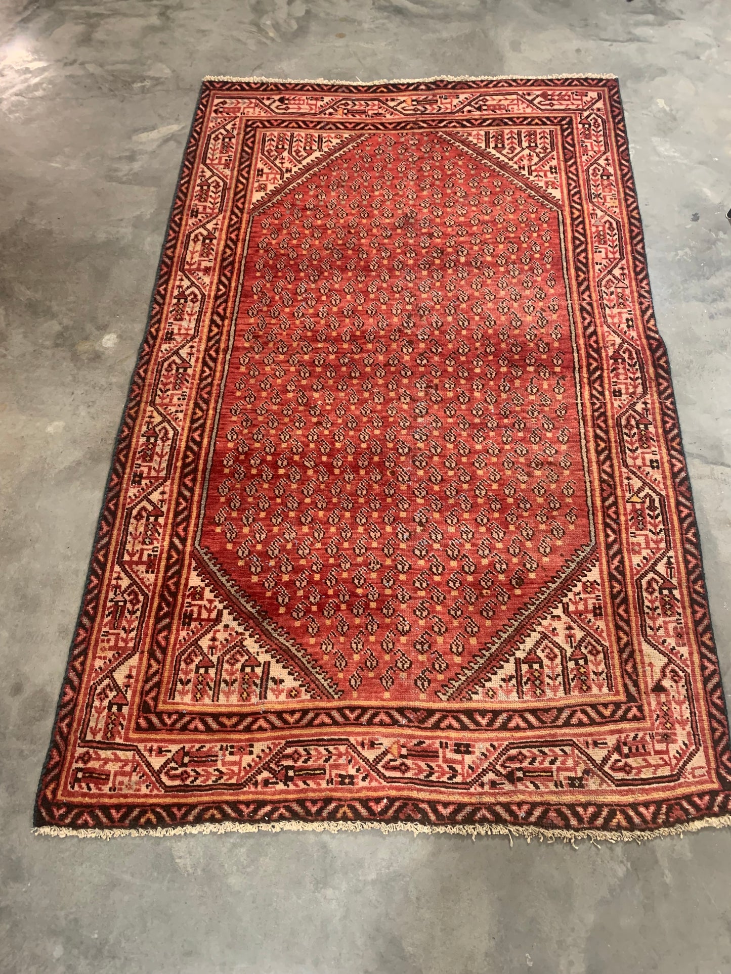 Persian Rug