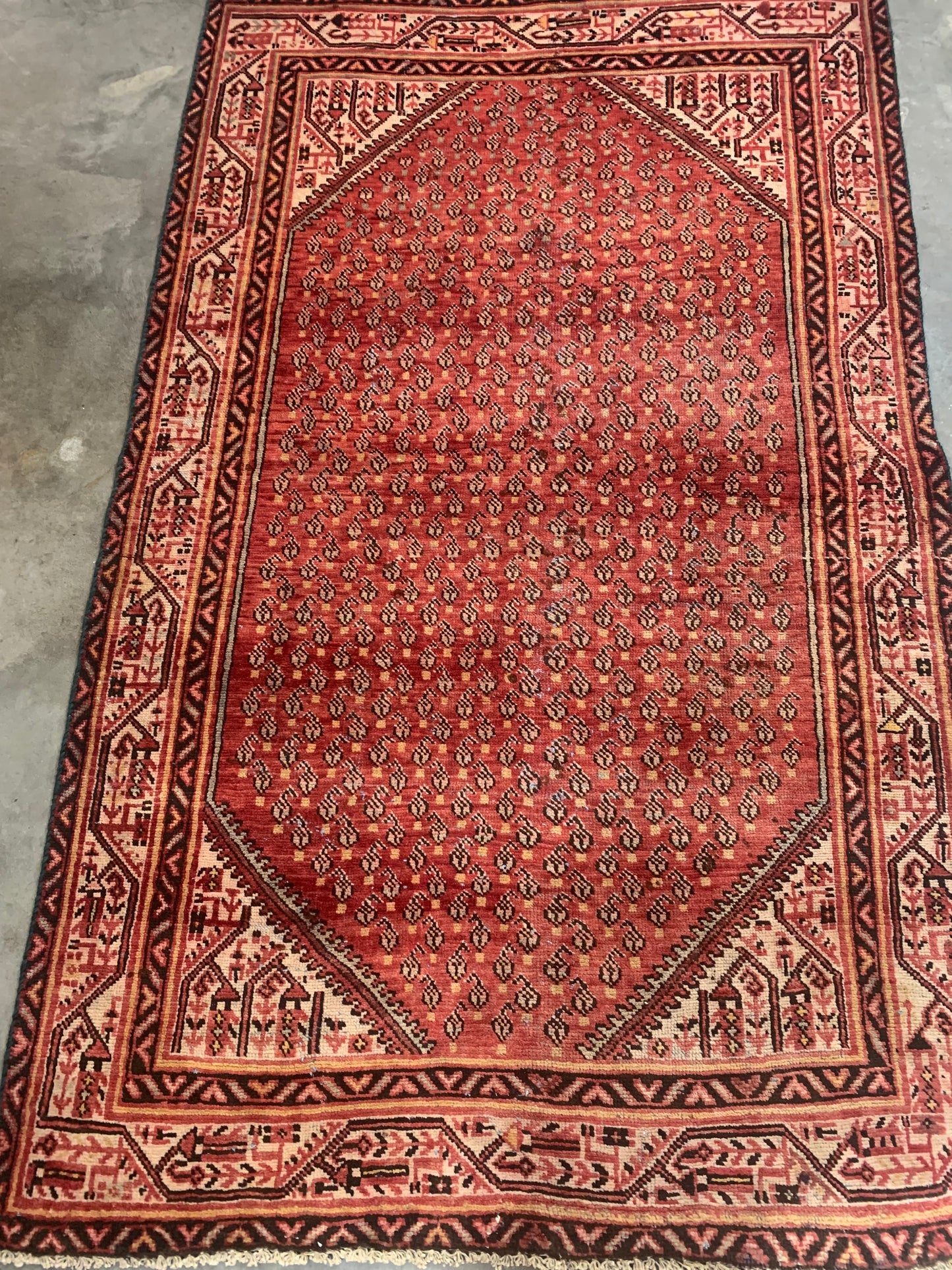 Persian Rug