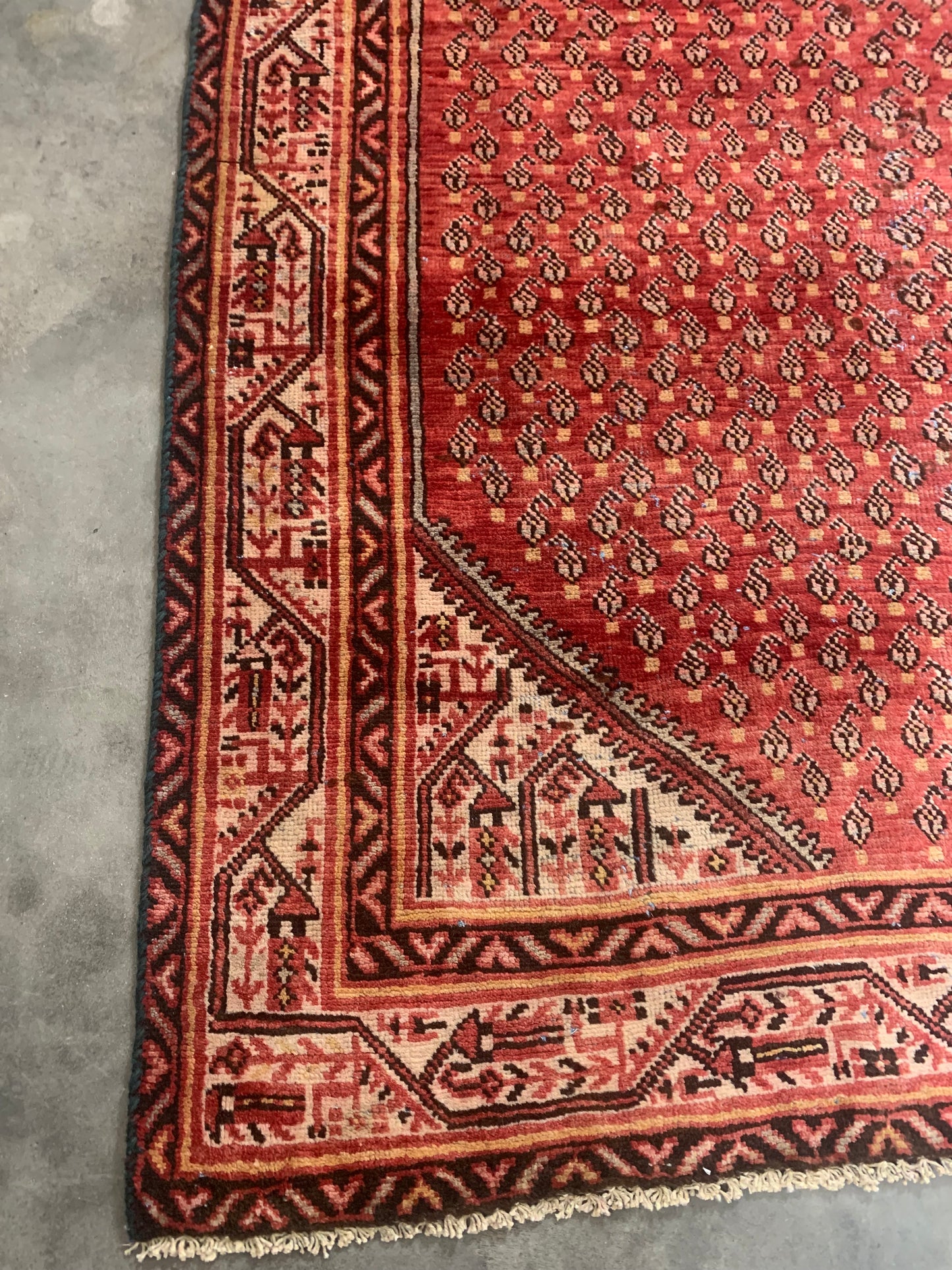 Persian Rug