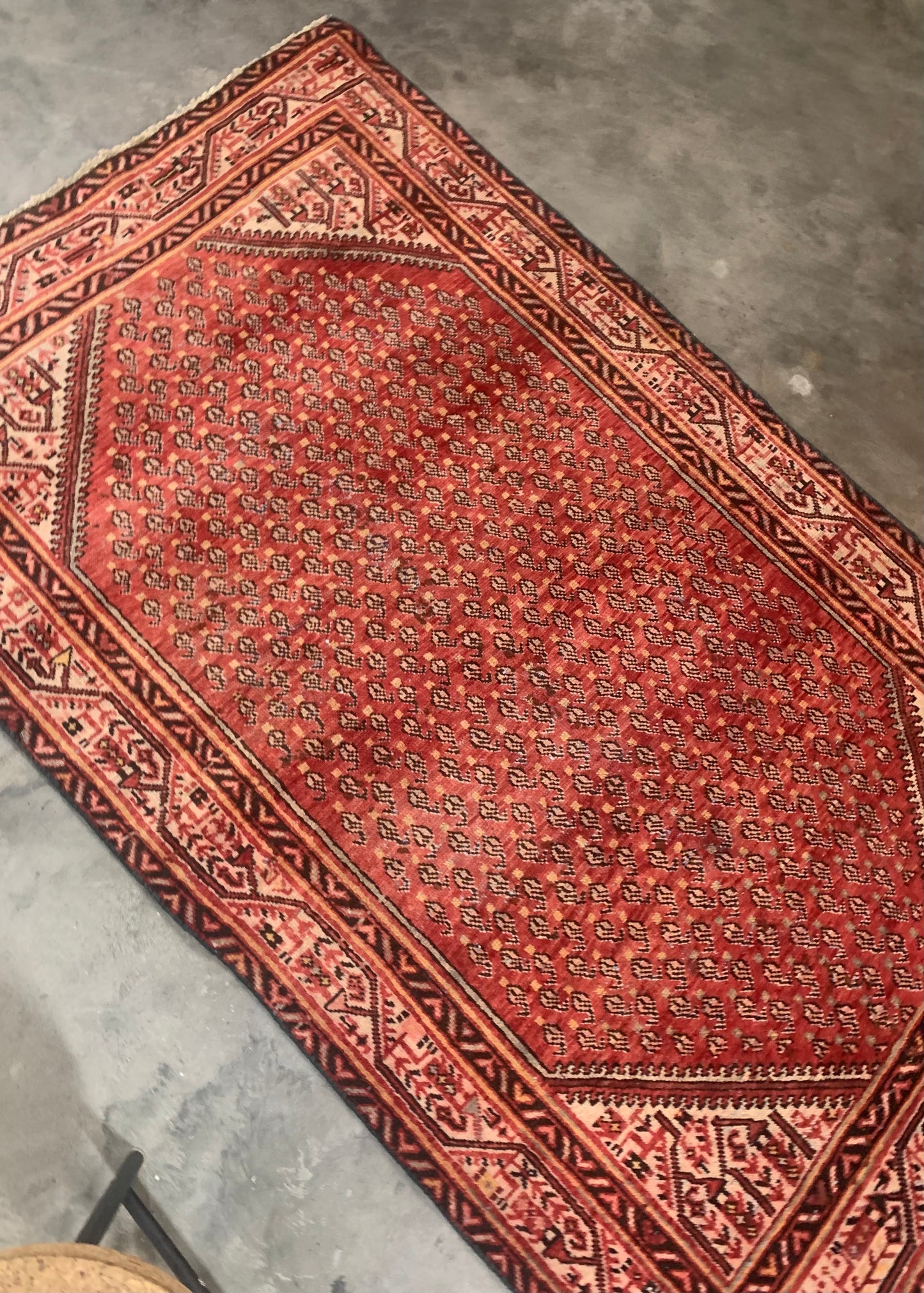 Persian Rug