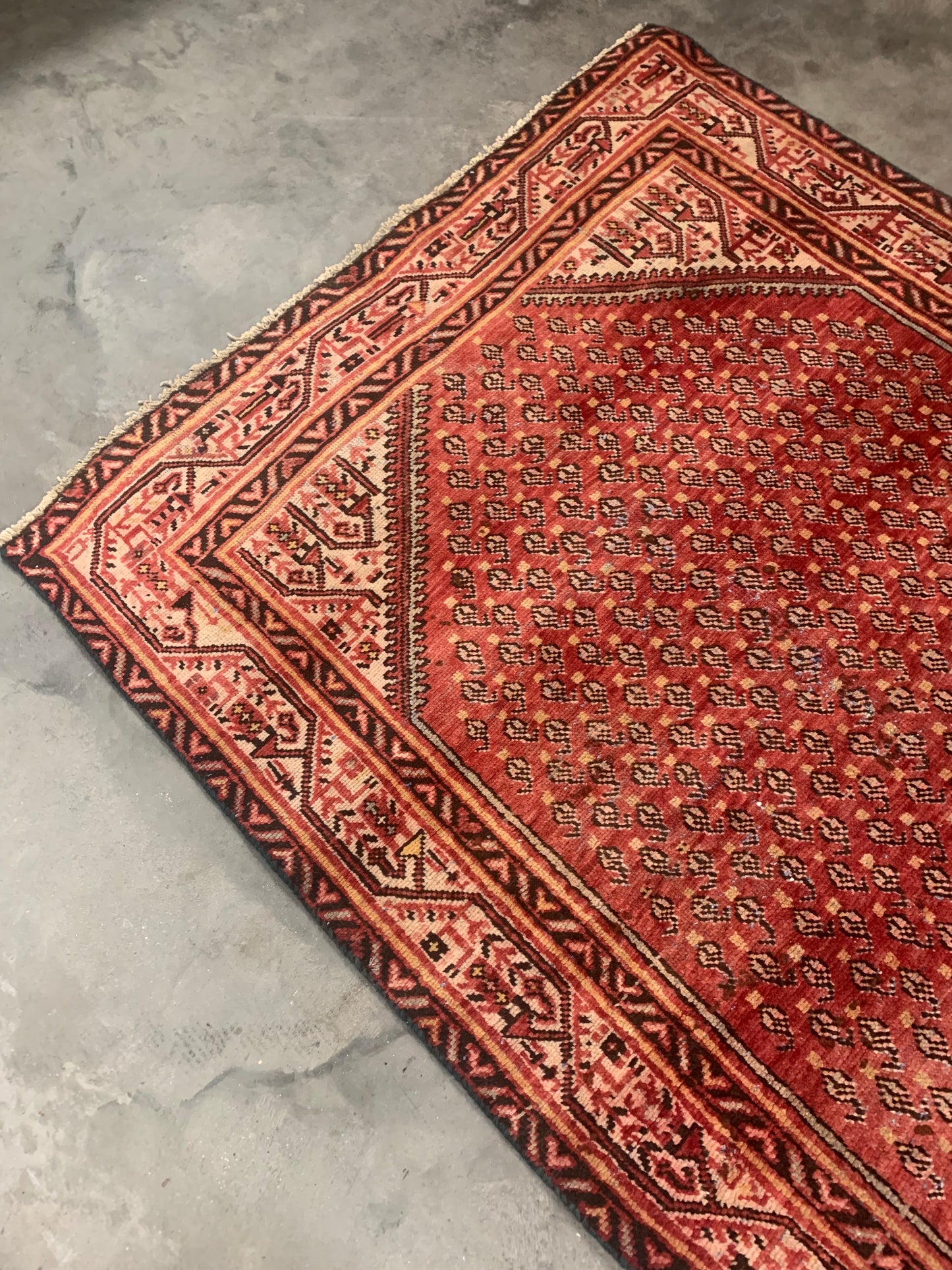 Persian Rug